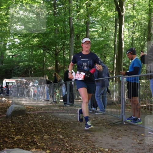 28.09.2025 - 33. Volkslauf durch das schöne Alstertal Strokosch-Dieckow http://msf.ph/oto/8953979 28.09.2025 12:36:03 Ziel 2505 meine-sportfotos.de
