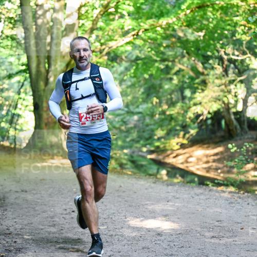 28.09.2025 - 33. Volkslauf durch das schöne Alstertal Dr. Thomas Lammeyer http://msf.ph/oto/8953986 28.09.2025 10:37:34 Laufen 2595 meine-sportfotos.de