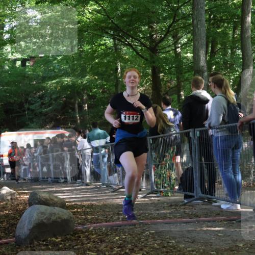28.09.2025 - 33. Volkslauf durch das schöne Alstertal Strokosch-Dieckow http://msf.ph/oto/8953994 28.09.2025 12:36:53 Ziel 1112, 2277, 2461 meine-sportfotos.de