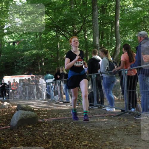 28.09.2025 - 33. Volkslauf durch das schöne Alstertal Strokosch-Dieckow http://msf.ph/oto/8953997 28.09.2025 12:36:54 Ziel 1112, 2277, 2461 meine-sportfotos.de