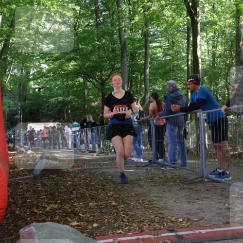 28.09.2025 - 33. Volkslauf durch das schöne Alstertal Strokosch-Dieckow http://msf.ph/oto/8953999 28.09.2025 12:36:54 Ziel 1112, 2277, 2461 meine-sportfotos.de
