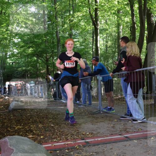 28.09.2025 - 33. Volkslauf durch das schöne Alstertal Strokosch-Dieckow http://msf.ph/oto/8954002 28.09.2025 12:36:55 Ziel 1112, 2277, 2461 meine-sportfotos.de