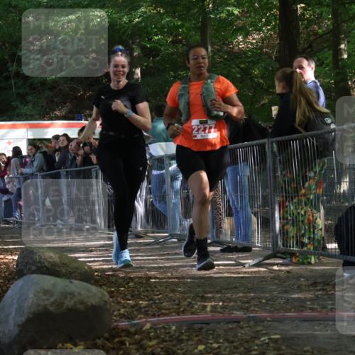28.09.2025 - 33. Volkslauf durch das schöne Alstertal Strokosch-Dieckow http://msf.ph/oto/8954005 28.09.2025 12:36:57 Ziel 2277, 2461 meine-sportfotos.de
