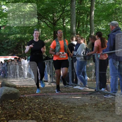 28.09.2025 - 33. Volkslauf durch das schöne Alstertal Strokosch-Dieckow http://msf.ph/oto/8954010 28.09.2025 12:36:58 Ziel 2277, 2461 meine-sportfotos.de