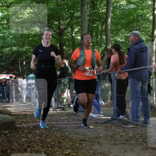 28.09.2025 - 33. Volkslauf durch das schöne Alstertal Strokosch-Dieckow http://msf.ph/oto/8954013 28.09.2025 12:36:58 Ziel 2277, 2461 meine-sportfotos.de