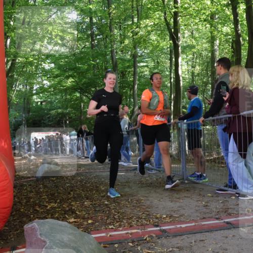 28.09.2025 - 33. Volkslauf durch das schöne Alstertal Strokosch-Dieckow http://msf.ph/oto/8954017 28.09.2025 12:36:59 Ziel 2277, 2461 meine-sportfotos.de