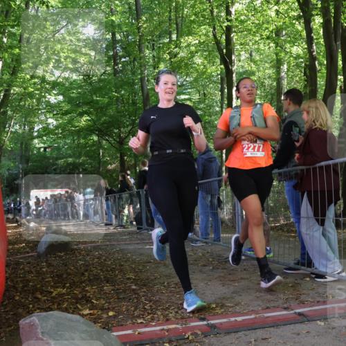 28.09.2025 - 33. Volkslauf durch das schöne Alstertal Strokosch-Dieckow http://msf.ph/oto/8954020 28.09.2025 12:36:59 Ziel 2277, 2461 meine-sportfotos.de
