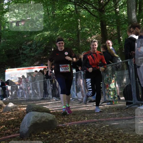 28.09.2025 - 33. Volkslauf durch das schöne Alstertal Strokosch-Dieckow http://msf.ph/oto/8954023 28.09.2025 12:37:31 Ziel 1103 meine-sportfotos.de