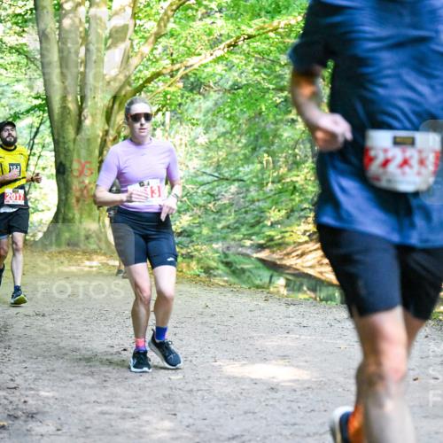 28.09.2025 - 33. Volkslauf durch das schöne Alstertal Dr. Thomas Lammeyer http://msf.ph/oto/8954024 28.09.2025 10:37:44 Laufen 2017, 43, 2233 meine-sportfotos.de