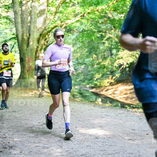 28.09.2025 - 33. Volkslauf durch das schöne Alstertal Dr. Thomas Lammeyer http://msf.ph/oto/8954025 28.09.2025 10:37:45 Laufen 1, 1, 2017, 2233 meine-sportfotos.de