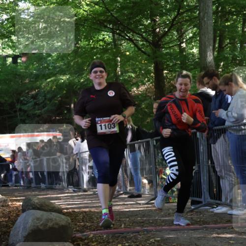 28.09.2025 - 33. Volkslauf durch das schöne Alstertal Strokosch-Dieckow http://msf.ph/oto/8954026 28.09.2025 12:37:31 Ziel 1103 meine-sportfotos.de