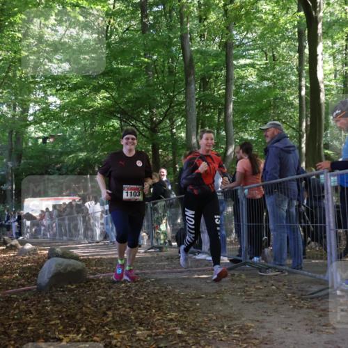 28.09.2025 - 33. Volkslauf durch das schöne Alstertal Strokosch-Dieckow http://msf.ph/oto/8954029 28.09.2025 12:37:32 Ziel 1103 meine-sportfotos.de