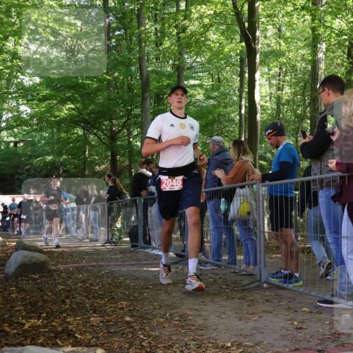 28.09.2025 - 33. Volkslauf durch das schöne Alstertal Strokosch-Dieckow http://msf.ph/oto/8954048 28.09.2025 12:37:46 Ziel 1100, 2040, 2186, 2220, 2386 meine-sportfotos.de