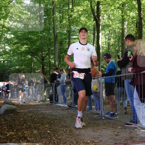 28.09.2025 - 33. Volkslauf durch das schöne Alstertal Strokosch-Dieckow http://msf.ph/oto/8954051 28.09.2025 12:37:46 Ziel 1100, 2040, 2186, 2220, 2386 meine-sportfotos.de