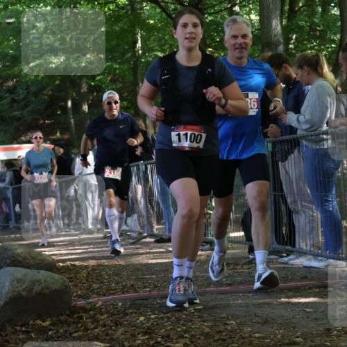 28.09.2025 - 33. Volkslauf durch das schöne Alstertal Strokosch-Dieckow http://msf.ph/oto/8954057 28.09.2025 12:37:48 Ziel 1100, 2186, 2220, 2386 meine-sportfotos.de