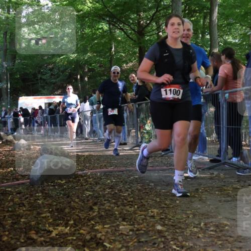 28.09.2025 - 33. Volkslauf durch das schöne Alstertal Strokosch-Dieckow http://msf.ph/oto/8954059 28.09.2025 12:37:49 Ziel 1100, 2186, 2220, 2386 meine-sportfotos.de