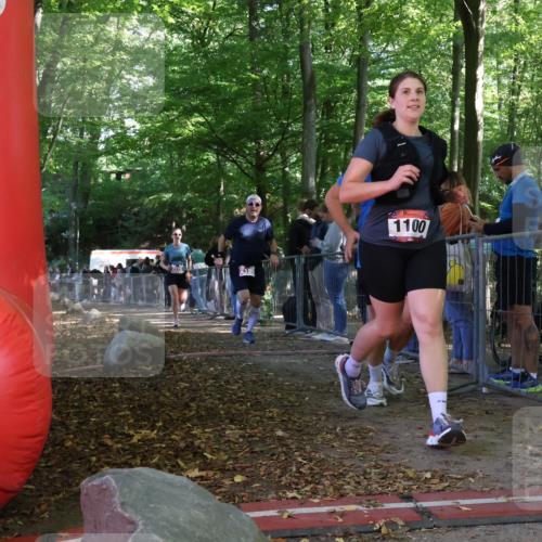 28.09.2025 - 33. Volkslauf durch das schöne Alstertal Strokosch-Dieckow http://msf.ph/oto/8954062 28.09.2025 12:37:50 Ziel 2186, 2220, 2386 meine-sportfotos.de