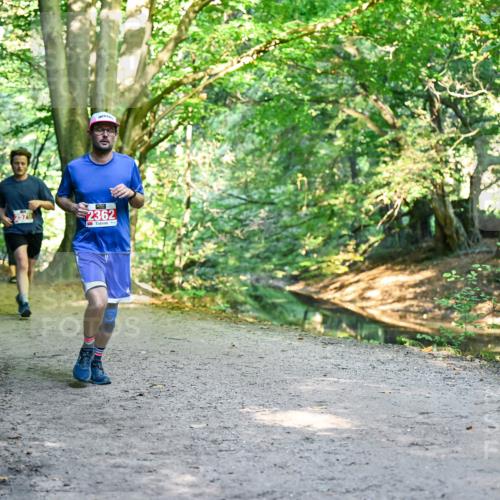 28.09.2025 - 33. Volkslauf durch das schöne Alstertal Dr. Thomas Lammeyer http://msf.ph/oto/8954063 28.09.2025 10:37:49 Laufen 2579, 2362 meine-sportfotos.de