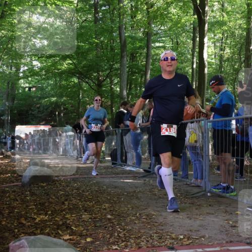 28.09.2025 - 33. Volkslauf durch das schöne Alstertal Strokosch-Dieckow http://msf.ph/oto/8954068 28.09.2025 12:37:51 Ziel 2186, 2220 meine-sportfotos.de