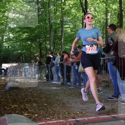 28.09.2025 - 33. Volkslauf durch das schöne Alstertal Strokosch-Dieckow http://msf.ph/oto/8954076 28.09.2025 12:37:53 Ziel 2220 meine-sportfotos.de