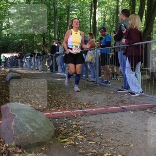 28.09.2025 - 33. Volkslauf durch das schöne Alstertal Strokosch-Dieckow http://msf.ph/oto/8954082 28.09.2025 12:38:05 Ziel 2355, 2464, 2539 meine-sportfotos.de