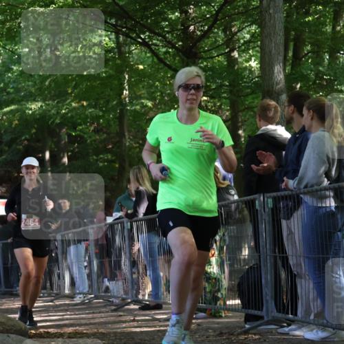 28.09.2025 - 33. Volkslauf durch das schöne Alstertal Strokosch-Dieckow http://msf.ph/oto/8954093 28.09.2025 12:38:11 Ziel 2464, 2539 meine-sportfotos.de
