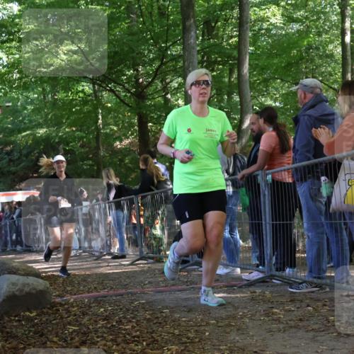 28.09.2025 - 33. Volkslauf durch das schöne Alstertal Strokosch-Dieckow http://msf.ph/oto/8954096 28.09.2025 12:38:12 Ziel 2464, 2539 meine-sportfotos.de