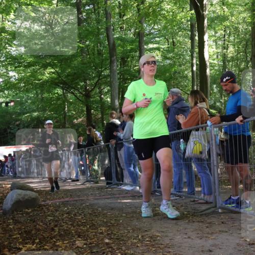 28.09.2025 - 33. Volkslauf durch das schöne Alstertal Strokosch-Dieckow http://msf.ph/oto/8954098 28.09.2025 12:38:13 Ziel 2464, 2539 meine-sportfotos.de