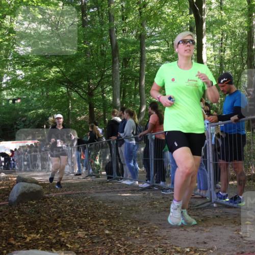 28.09.2025 - 33. Volkslauf durch das schöne Alstertal Strokosch-Dieckow http://msf.ph/oto/8954101 28.09.2025 12:38:13 Ziel 2464, 2539 meine-sportfotos.de