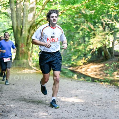 28.09.2025 - 33. Volkslauf durch das schöne Alstertal Dr. Thomas Lammeyer http://msf.ph/oto/8954102 28.09.2025 10:37:53 Laufen 2578 meine-sportfotos.de