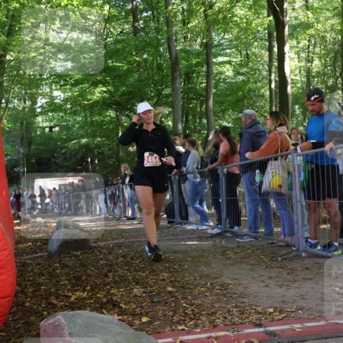 28.09.2025 - 33. Volkslauf durch das schöne Alstertal Strokosch-Dieckow http://msf.ph/oto/8954113 28.09.2025 12:38:15 Ziel 2464 meine-sportfotos.de