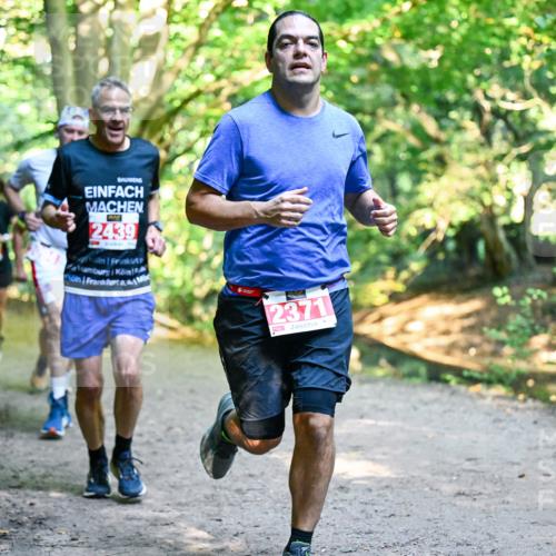 28.09.2025 - 33. Volkslauf durch das schöne Alstertal Dr. Thomas Lammeyer http://msf.ph/oto/8954117 28.09.2025 10:37:56 Laufen 2439, 2371 meine-sportfotos.de