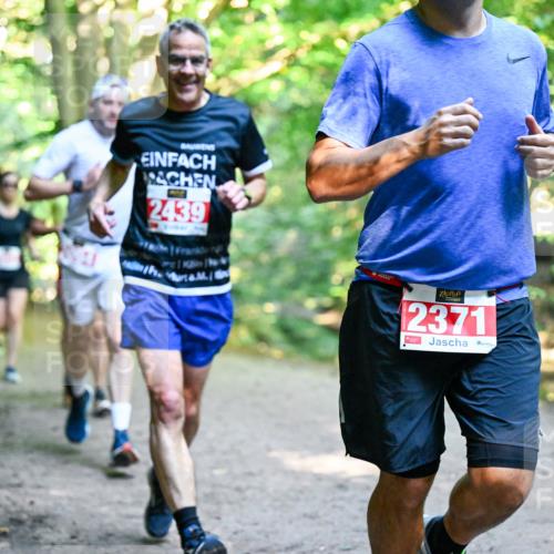 28.09.2025 - 33. Volkslauf durch das schöne Alstertal Dr. Thomas Lammeyer http://msf.ph/oto/8954122 28.09.2025 10:37:56 Laufen 2439, 2371 meine-sportfotos.de