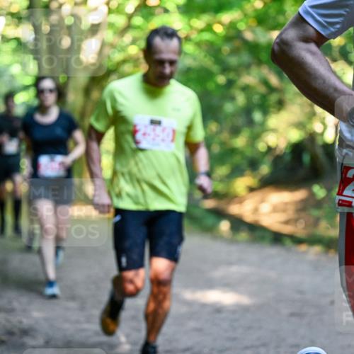 28.09.2025 - 33. Volkslauf durch das schöne Alstertal Dr. Thomas Lammeyer http://msf.ph/oto/8954131 28.09.2025 10:37:58 Laufen 2094 meine-sportfotos.de