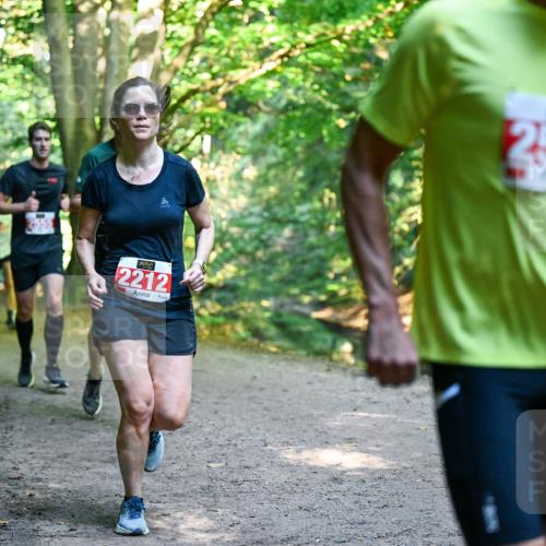 28.09.2025 - 33. Volkslauf durch das schöne Alstertal Dr. Thomas Lammeyer http://msf.ph/oto/8954138 28.09.2025 10:37:58 Laufen 2212, 2550 meine-sportfotos.de