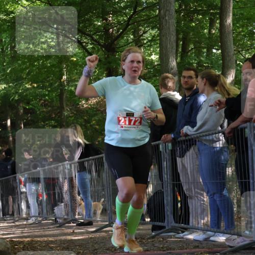 28.09.2025 - 33. Volkslauf durch das schöne Alstertal Strokosch-Dieckow http://msf.ph/oto/8954146 28.09.2025 12:38:37 Ziel 2172 meine-sportfotos.de