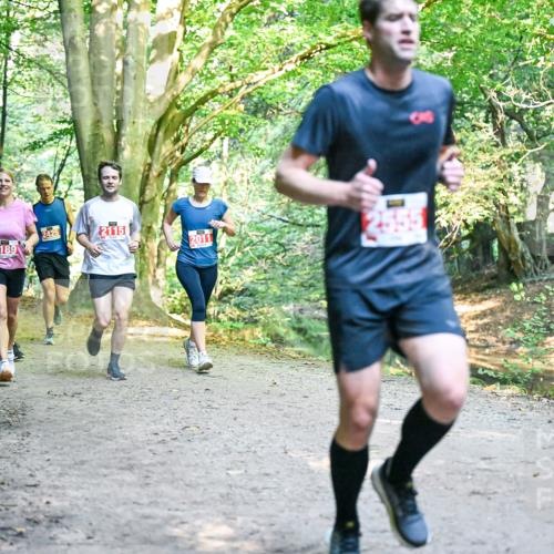 28.09.2025 - 33. Volkslauf durch das schöne Alstertal Dr. Thomas Lammeyer http://msf.ph/oto/8954147 28.09.2025 10:38:01 Laufen 2189, 2425, 2115, 2011, 355 meine-sportfotos.de