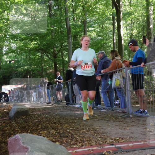 28.09.2025 - 33. Volkslauf durch das schöne Alstertal Strokosch-Dieckow http://msf.ph/oto/8954151 28.09.2025 12:38:38 Ziel 2172 meine-sportfotos.de