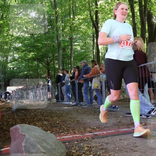 28.09.2025 - 33. Volkslauf durch das schöne Alstertal Strokosch-Dieckow http://msf.ph/oto/8954160 28.09.2025 12:38:39 Ziel 2172 meine-sportfotos.de