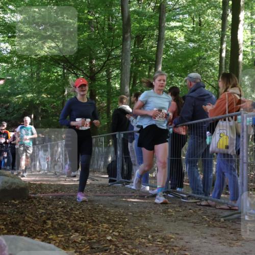 28.09.2025 - 33. Volkslauf durch das schöne Alstertal Strokosch-Dieckow http://msf.ph/oto/8954166 28.09.2025 12:38:53 Ziel 1104, 1754, 2158, 2337, 2575, 2649 meine-sportfotos.de