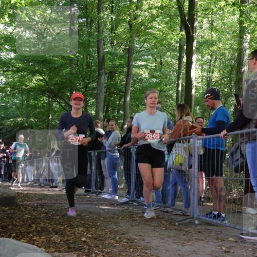 28.09.2025 - 33. Volkslauf durch das schöne Alstertal Strokosch-Dieckow http://msf.ph/oto/8954169 28.09.2025 12:38:53 Ziel 1104, 1754, 2158, 2337, 2575, 2649 meine-sportfotos.de