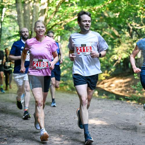 28.09.2025 - 33. Volkslauf durch das schöne Alstertal Dr. Thomas Lammeyer http://msf.ph/oto/8954170 28.09.2025 10:38:03 Laufen 2115, 2189, 2011 meine-sportfotos.de