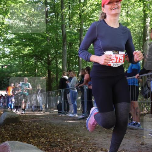28.09.2025 - 33. Volkslauf durch das schöne Alstertal Strokosch-Dieckow http://msf.ph/oto/8954178 28.09.2025 12:38:54 Ziel 1104, 1754, 2158, 2337, 2575, 2649 meine-sportfotos.de