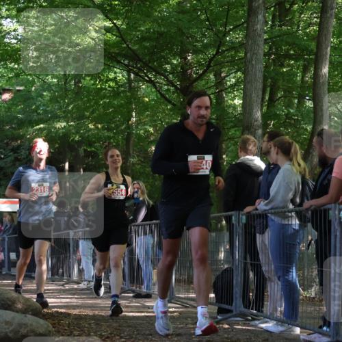 28.09.2025 - 33. Volkslauf durch das schöne Alstertal Strokosch-Dieckow http://msf.ph/oto/8954202 28.09.2025 12:39:03 Ziel 2316, 2554, 2640 meine-sportfotos.de