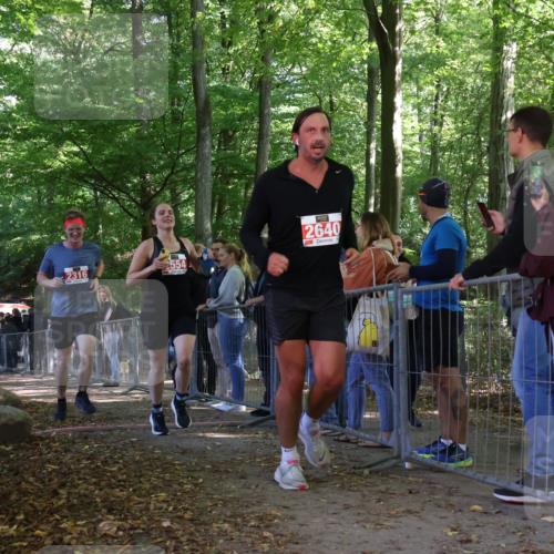 28.09.2025 - 33. Volkslauf durch das schöne Alstertal Strokosch-Dieckow http://msf.ph/oto/8954207 28.09.2025 12:39:05 Ziel 2316, 2353, 2554, 2640 meine-sportfotos.de