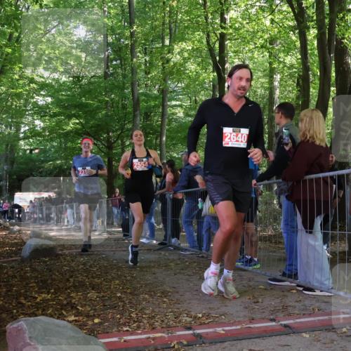 28.09.2025 - 33. Volkslauf durch das schöne Alstertal Strokosch-Dieckow http://msf.ph/oto/8954211 28.09.2025 12:39:05 Ziel 2316, 2353, 2554, 2640 meine-sportfotos.de