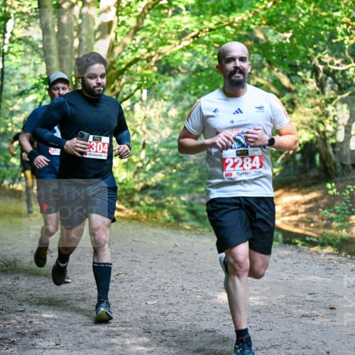 28.09.2025 - 33. Volkslauf durch das schöne Alstertal Dr. Thomas Lammeyer http://msf.ph/oto/8954215 28.09.2025 10:38:09 Laufen 2304, 2284 meine-sportfotos.de