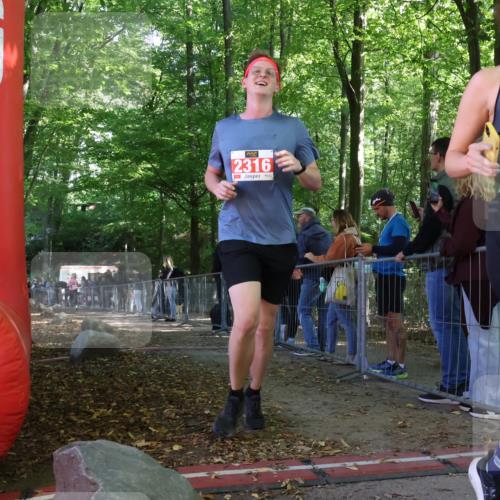 28.09.2025 - 33. Volkslauf durch das schöne Alstertal Strokosch-Dieckow http://msf.ph/oto/8954217 28.09.2025 12:39:07 Ziel 2316, 2353 meine-sportfotos.de
