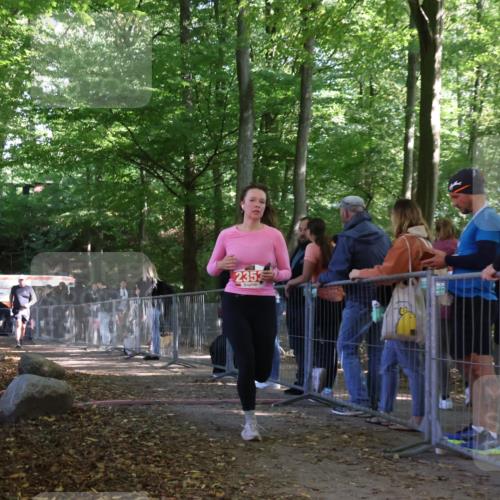 28.09.2025 - 33. Volkslauf durch das schöne Alstertal Strokosch-Dieckow http://msf.ph/oto/8954228 28.09.2025 12:39:13 Ziel 2353, 2544 meine-sportfotos.de