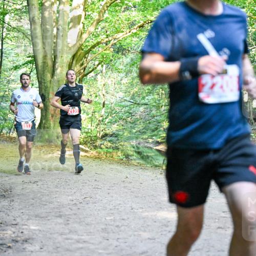 28.09.2025 - 33. Volkslauf durch das schöne Alstertal Dr. Thomas Lammeyer http://msf.ph/oto/8954229 28.09.2025 10:38:11 Laufen 2528, 2617, 203 meine-sportfotos.de